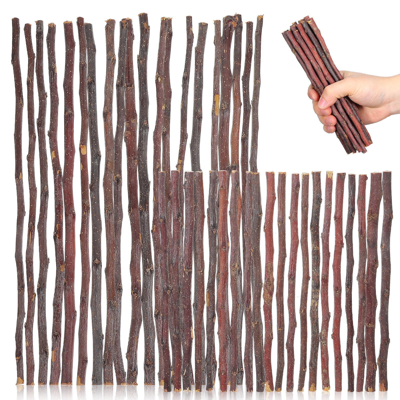 40Pcs Premium DIY Twig Decor N - Craft Embellishments review and price