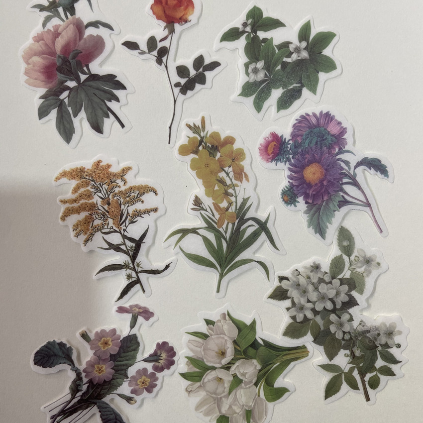 60pc/bag Vintage Flowers Plant - Embellishments For Scrapbooking review and price